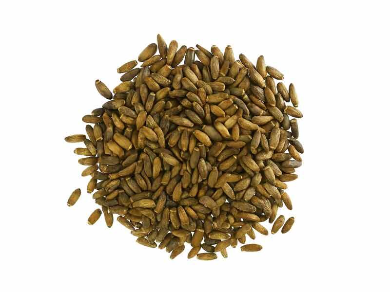 Whole Milk Thistle Seeds Dried Herbal Tea Ingredient