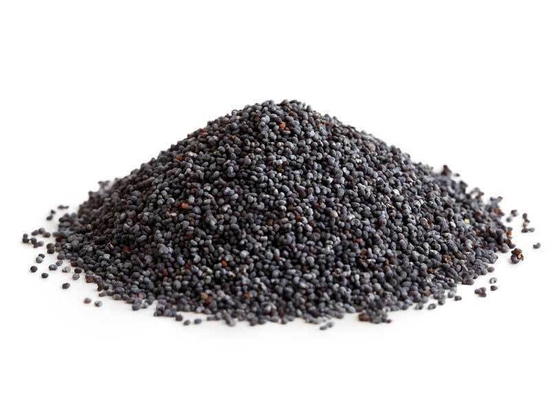 Premium Blue Poppy Seeds from Turkey for Baking and Cooking